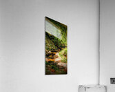 JustADeer Acrylic Print