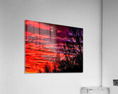 firesetinthesky Acrylic Print