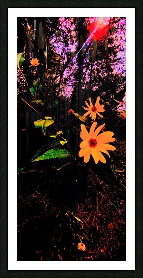 lazysummerday Picture Frame print