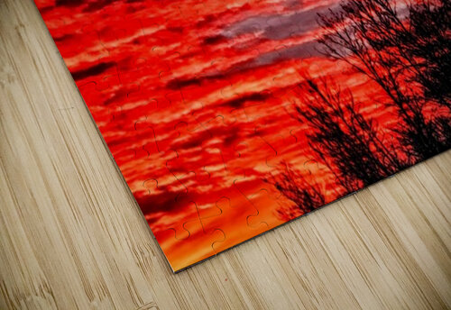 firesetinthesky Laura Blanz puzzle