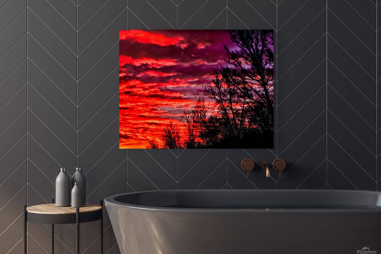 firesetinthesky Reproduction
