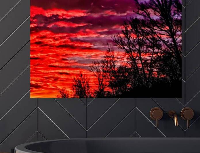 firesetinthesky by Laura Blanz