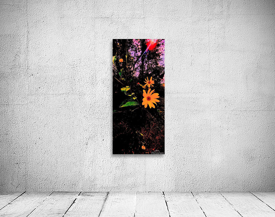 lazysummerday Wall Preview