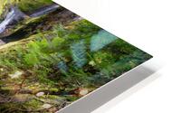 Little McPhee 2 HD Metal print