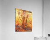 Palm trees.. Acrylic Print