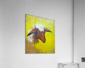Sheep Acrylic Print