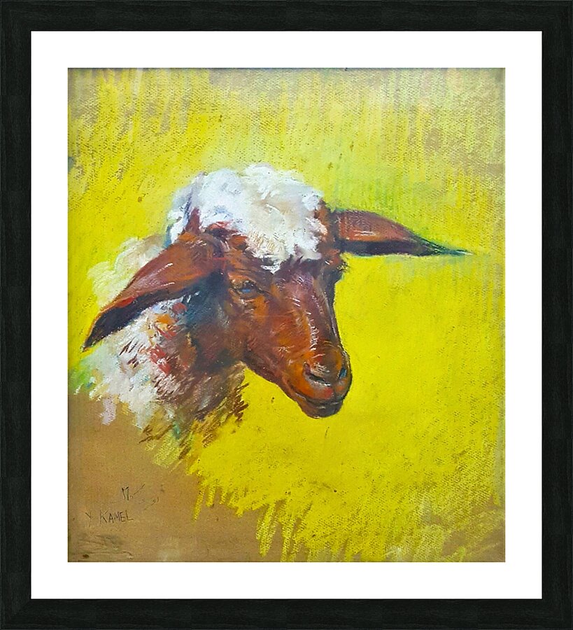 Sheep Picture Frame print