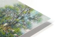 Living water HD Metal print