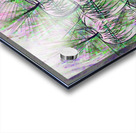 ArtXcl 301 apples pencil sketch Acrylic print