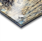 ArtXcl 327 Rock with tree boat Acrylic print