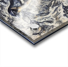 ArtXcl 331 Birds forest tree branch Acrylic print