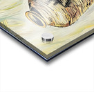 ArtXcl 343 still life Acrylic print