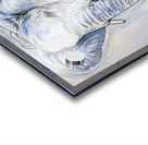 ArtXcl 370 elephant Acrylic print