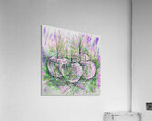 ArtXcl 301 apples pencil sketch Acrylic Print