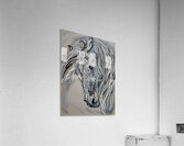 ArtXcl 341 horse pencil sketch Acrylic Print