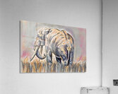 ArtXcl 339 elephant pencil sketch Acrylic Print