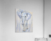 ArtXcl 370 elephant Acrylic Print