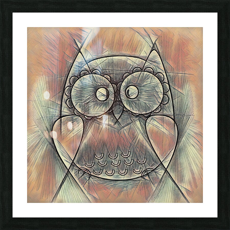 ArtXcl 306 owl pencil sketch Picture Frame Printing