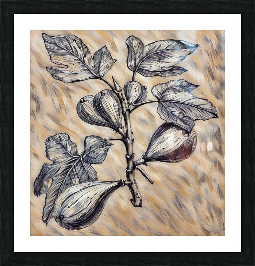 ArtXcl 333 common fig pencil sketch Picture Frame Printing