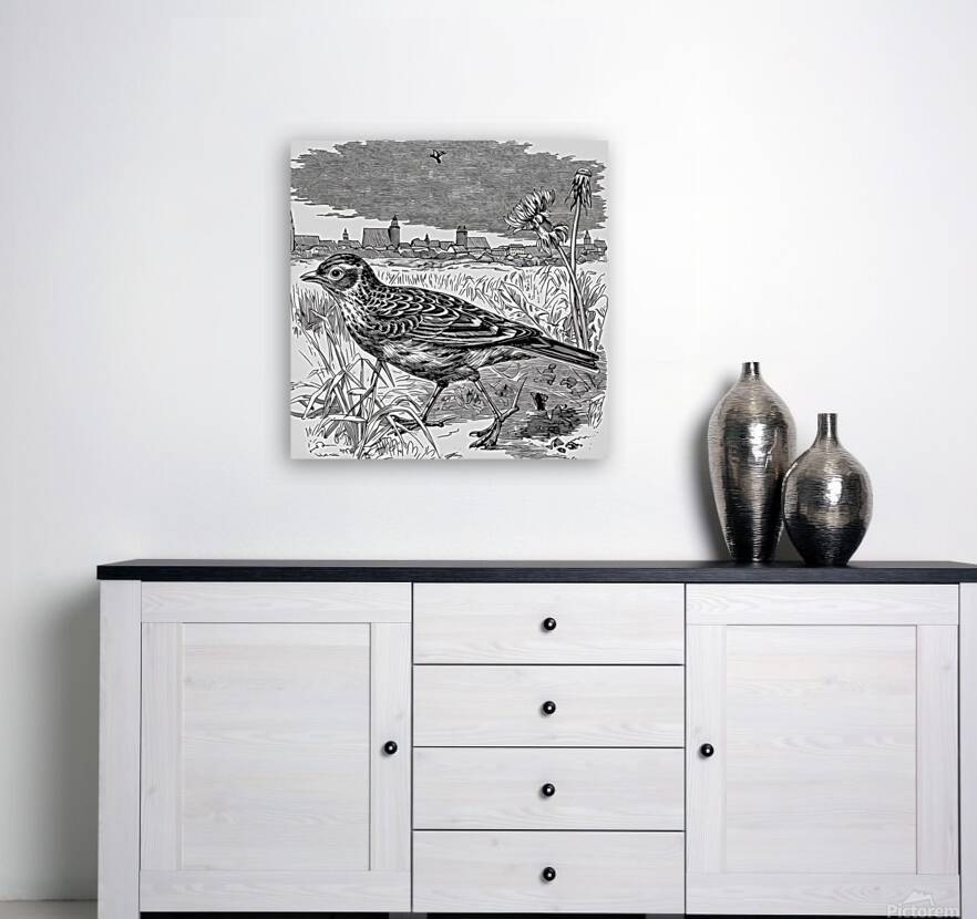 ArtX 27 bird Reproduction