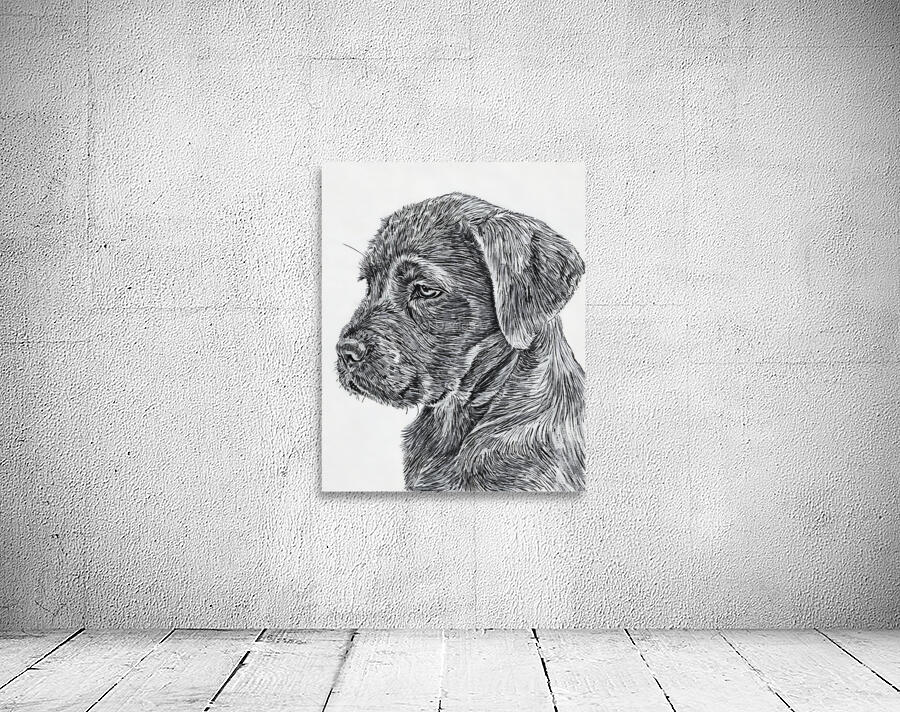 dog 11 Wall Preview