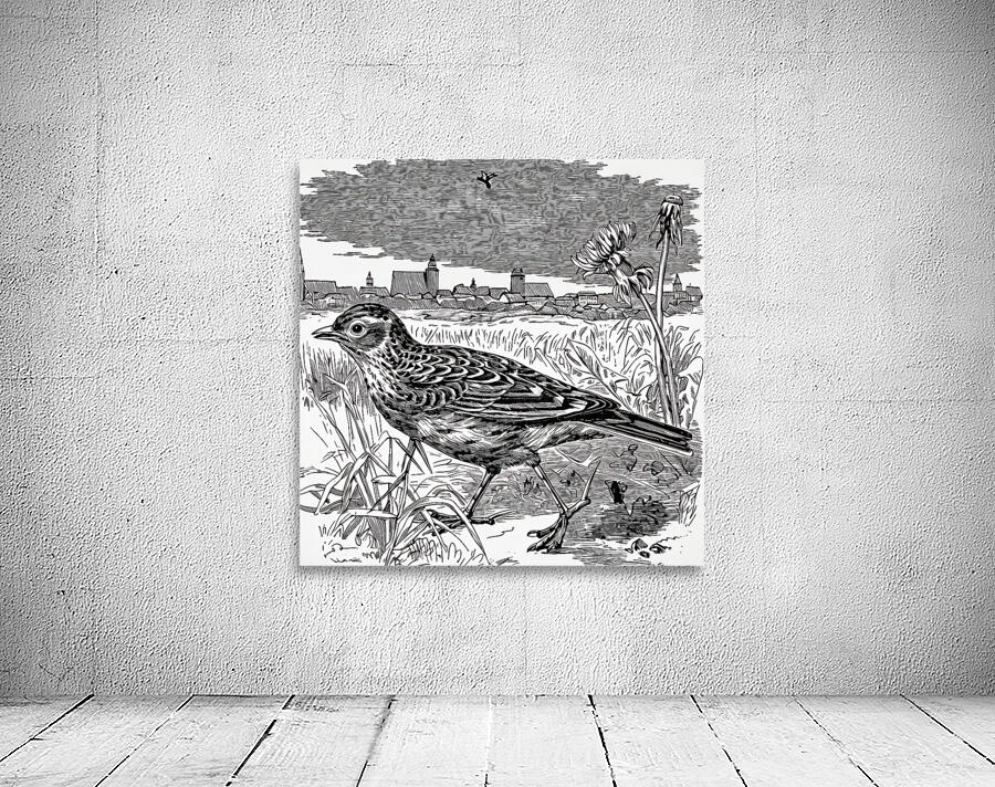 ArtX 27 bird Wall Preview