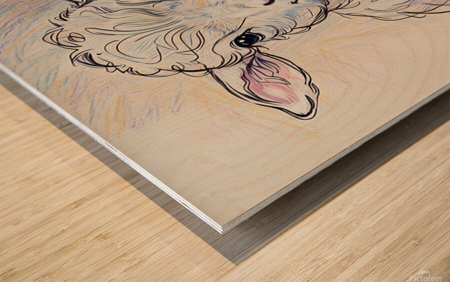 ArtXcl 373 baby lamb Wood print