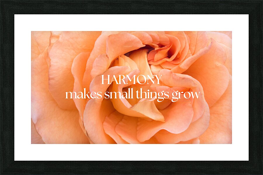 Harmony Picture Frame print