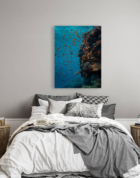 Underwater Life Reproduction