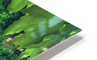 SLEEPING BEAUTY HD Metal print
