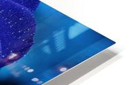 BLUE ROSE HD Metal print