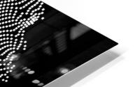 Silhouette  HD Metal print