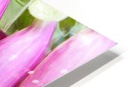A.P.Polo - Digitalis HD Metal print