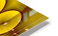 A.P.Polo - Kartoffel HD Metal print
