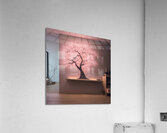 Sakura Tree Acrylic Print