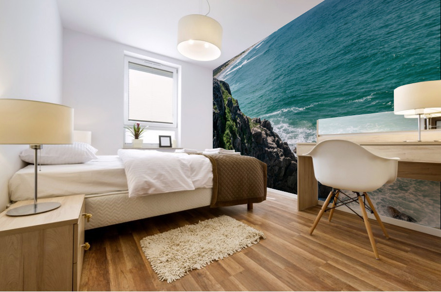Long Shot II Mural print