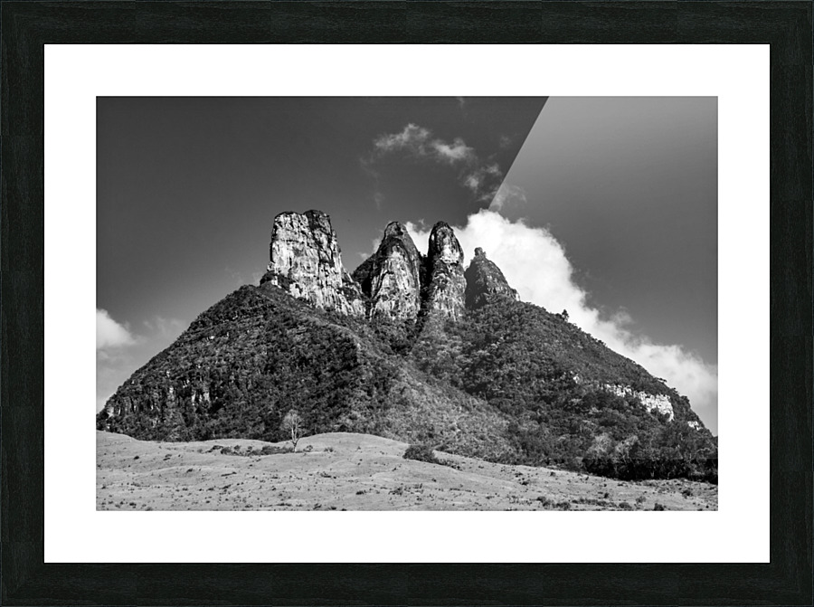 Twins b&w Picture Frame print