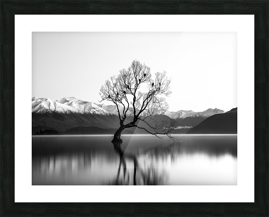 Lake Mirror b&w Picture Frame print