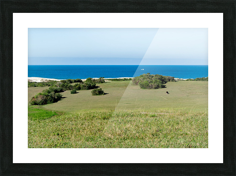 Marvelous field Picture Frame print