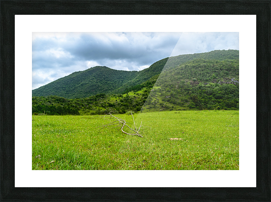 Green Field Picture Frame print