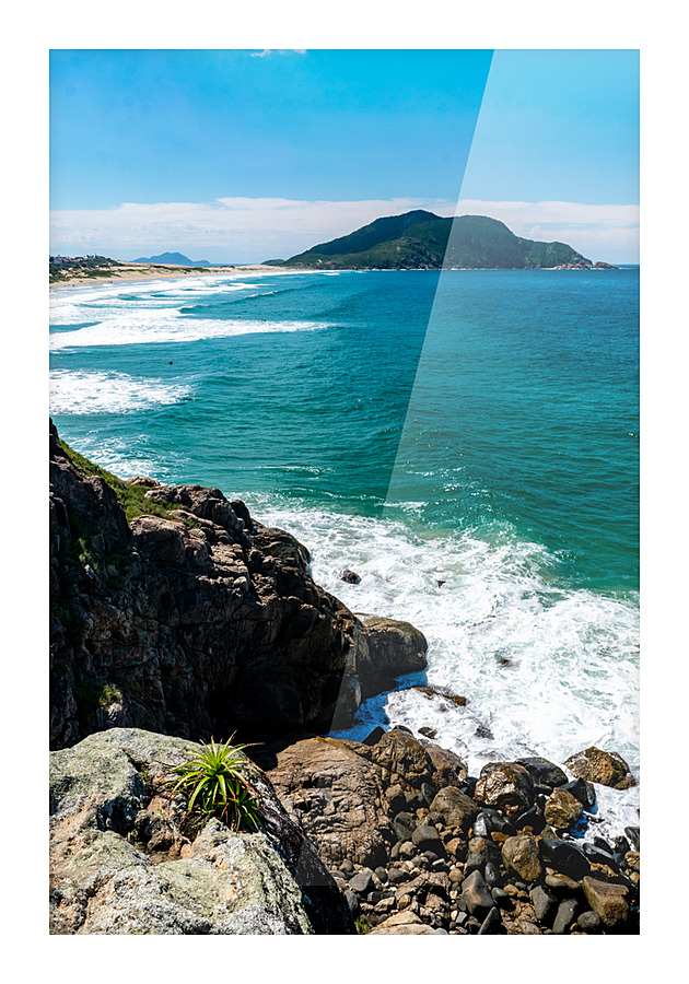 Long Shot Picture Frame print