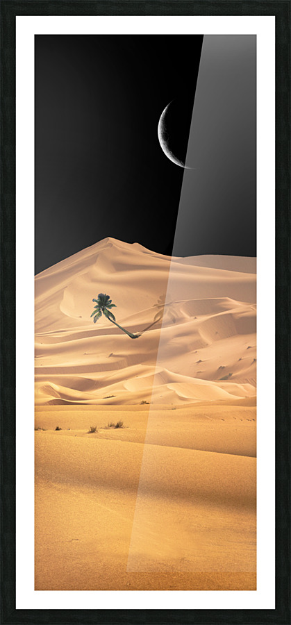 Desert Picture Frame print