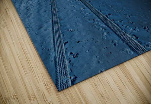 Tracks in the sand Rafael Wong puzzle