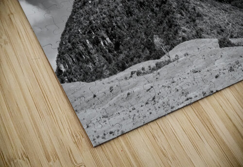 Twins b&w Rafael Wong puzzle