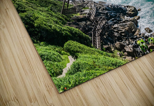 Catwalk  II Rafael Wong puzzle