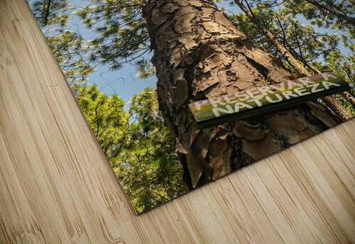 Preserve II Rafael Wong puzzle