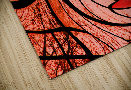 Swirl Rafael Wong puzzle