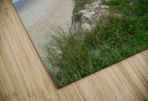 Lone beach Rafael Wong puzzle
