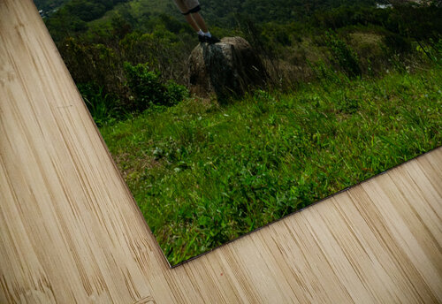 Who Rafael Wong puzzle