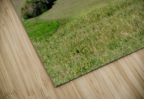 Marvelous field Rafael Wong puzzle